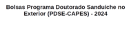Banner bolsas PDSE 2024.png