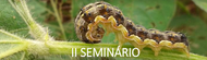 ii seminario.png