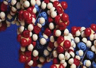 noticia4398.gif