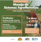Manejo de Sistemas Agroflorestais