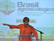 Dilma
