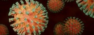 Banner_Coronavirus_Comunicado Banner_Coronavirus_Comunicado