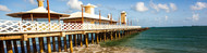 51º Congresso Brasileiro de Medicina Tropical
