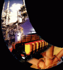 noticia3895.gif