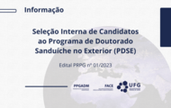 trâmites da seleção interna, de candidatos ao Programa Institucional de Doutorado Sanduíche no Exterior (PDSE)