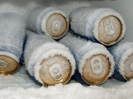Cerveja Gelada