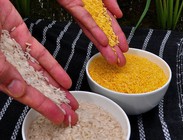 goldenRice
