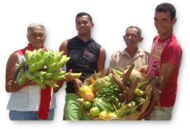 Agro Centro-oeste