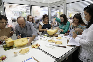 Avaliação do queijo parmesão por jurados no segundo dia de julgamento