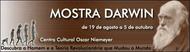 noticia7815.JPG