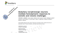 Artigo publicado na Frontiers in Physiology