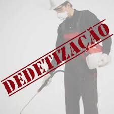 Dedetização