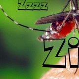 zika zika