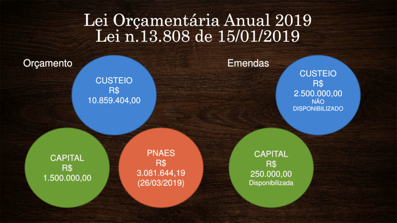 Oitavo slide: Lei orçamentária anual 2019 - valores orçados e emendas