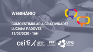 Luciana criatividade