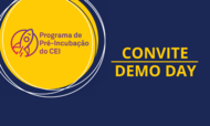 demo day