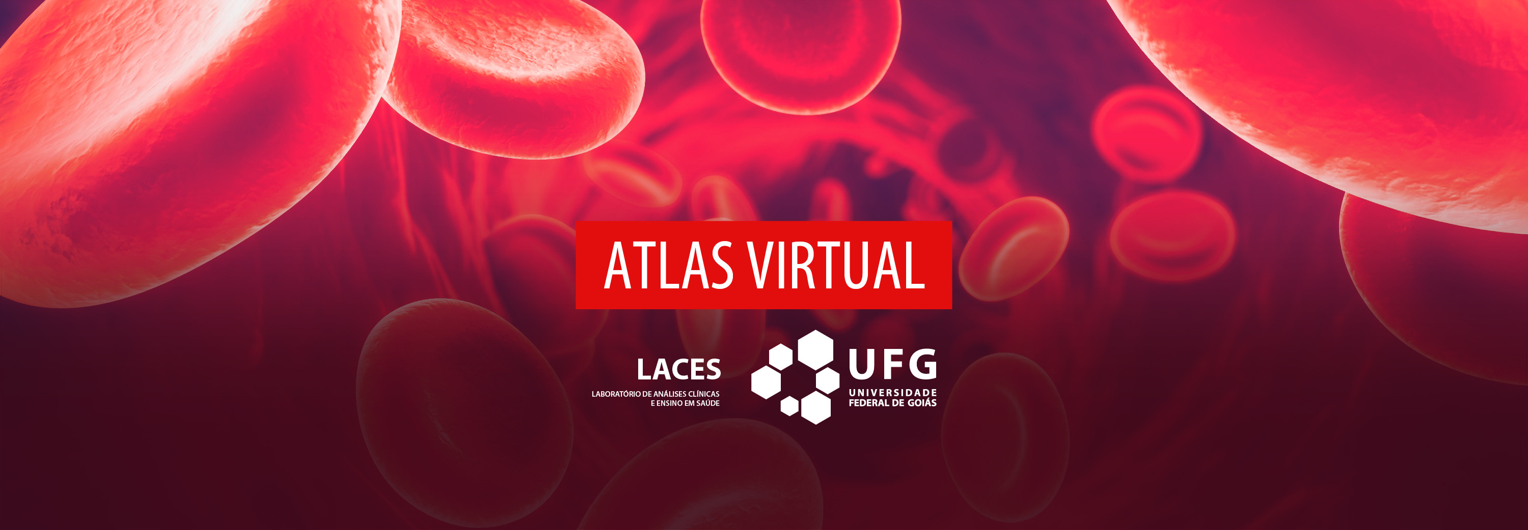 LACES_Atlasvirtual.jpg