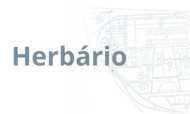 herbário
