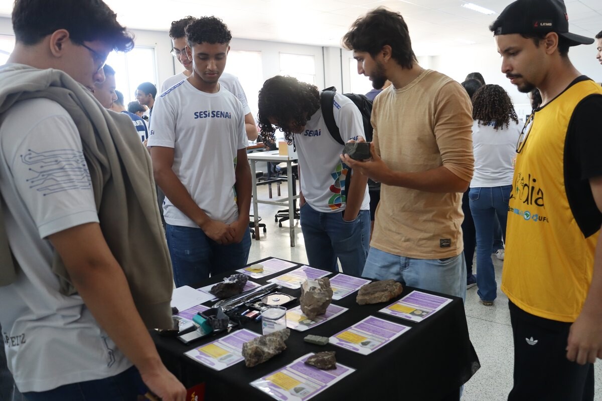 Estudantes observam amostras de rochas