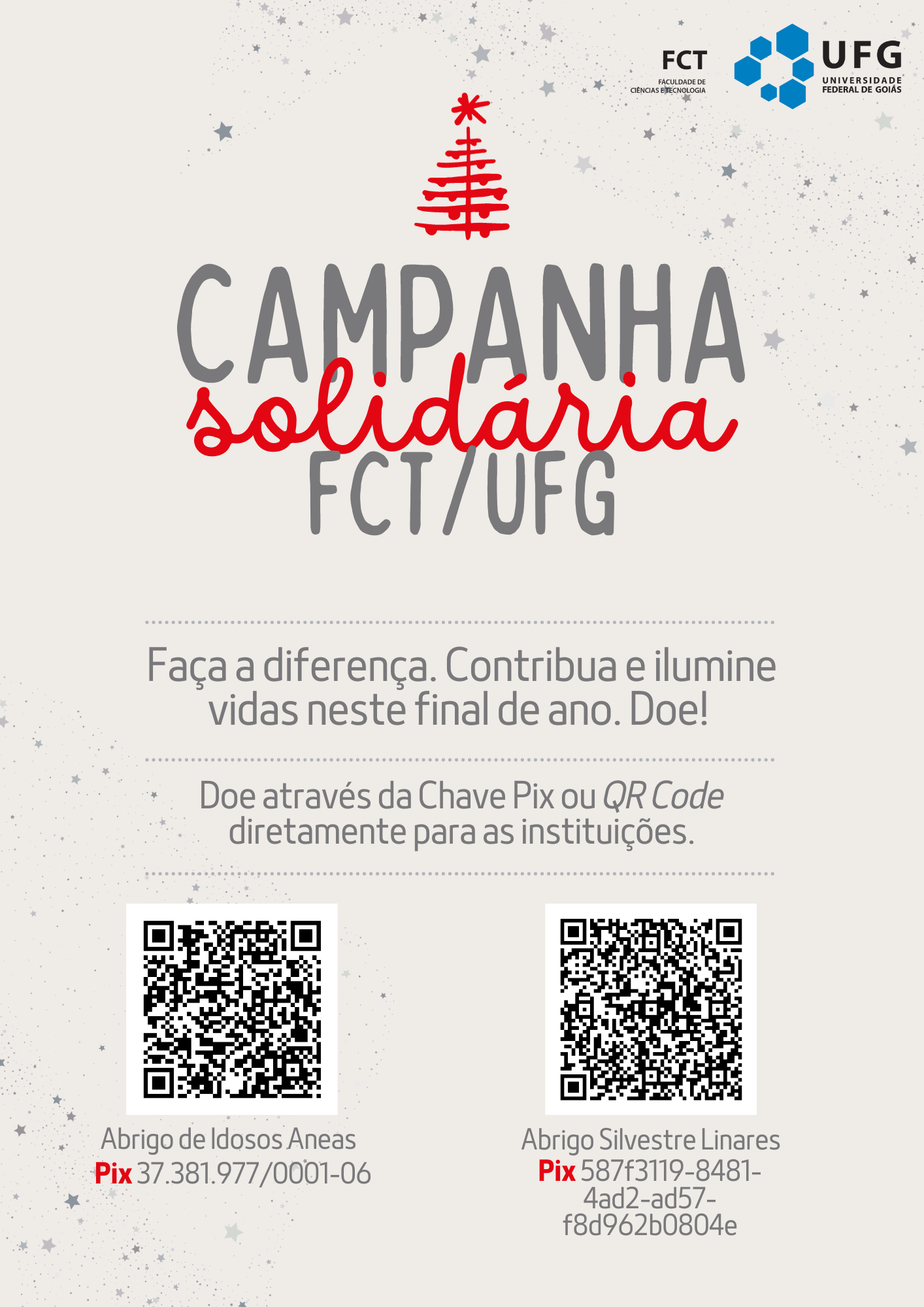 fct solidaria 2