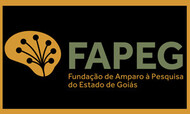 bolsa fapeg 2023/1