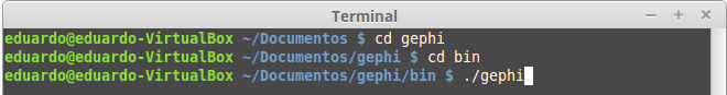 terminal iniciar gephi