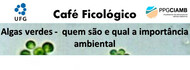 Banner - Cafe Ficologico 13 - Algas Verdes