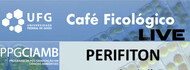 Banner 3 - Cafe Ficologico