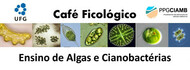Banner 4 - Cafe Ficologico
