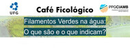 Banner - Cafe Ficologico - Filamentos verdes na agua