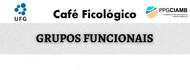 Banner - Café Ficológico - Grupos funcionais