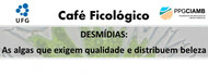 Banner - Cafe Ficologico 10 - Desmidias
