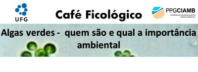 Banner - Cafe Ficologico 13 - Algas Verdes Banner - Cafe Ficologico 13 - Algas Verdes
