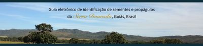 Banner - Guia de identificação de sementes e propágulos da Serra Dourada, Goiás Brasil