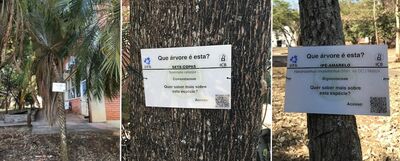 Banner - Que arvore e essa - Placas