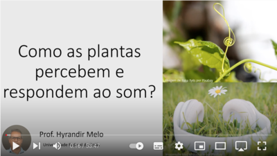 Pesquisa - Video sobre Livro - Plantas - sensibilidade ao som - Hyrandir 2021