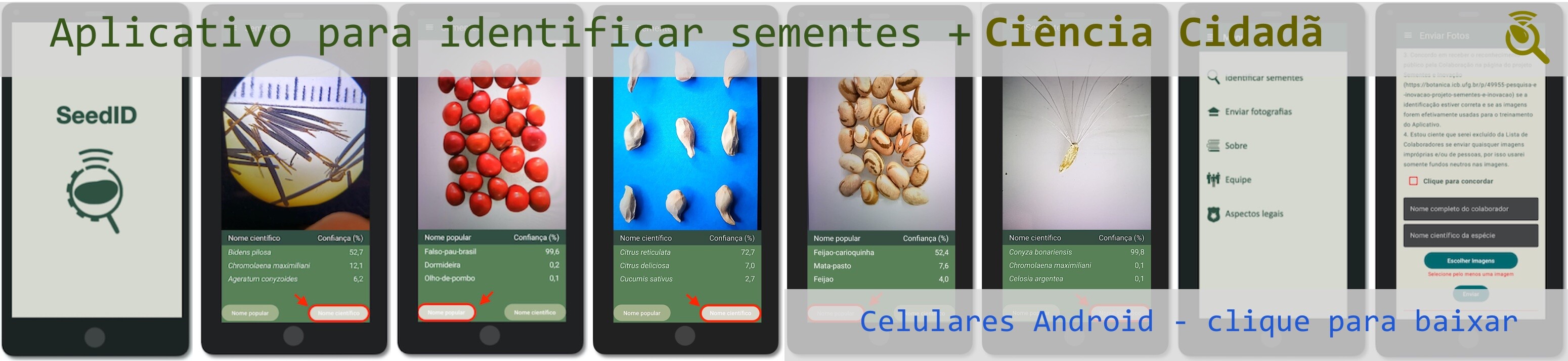 Banner - SeedID - 2025