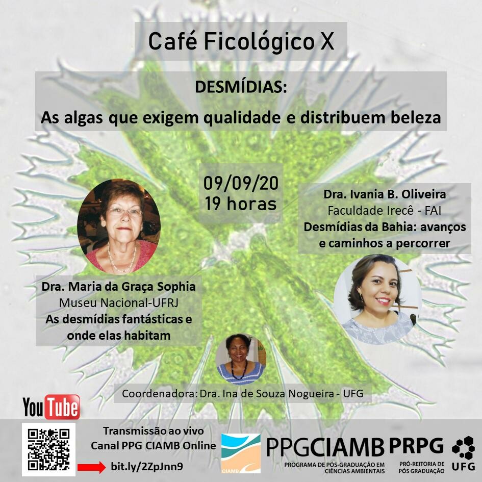Extensão - Café Ficológico  10 - Desmidias