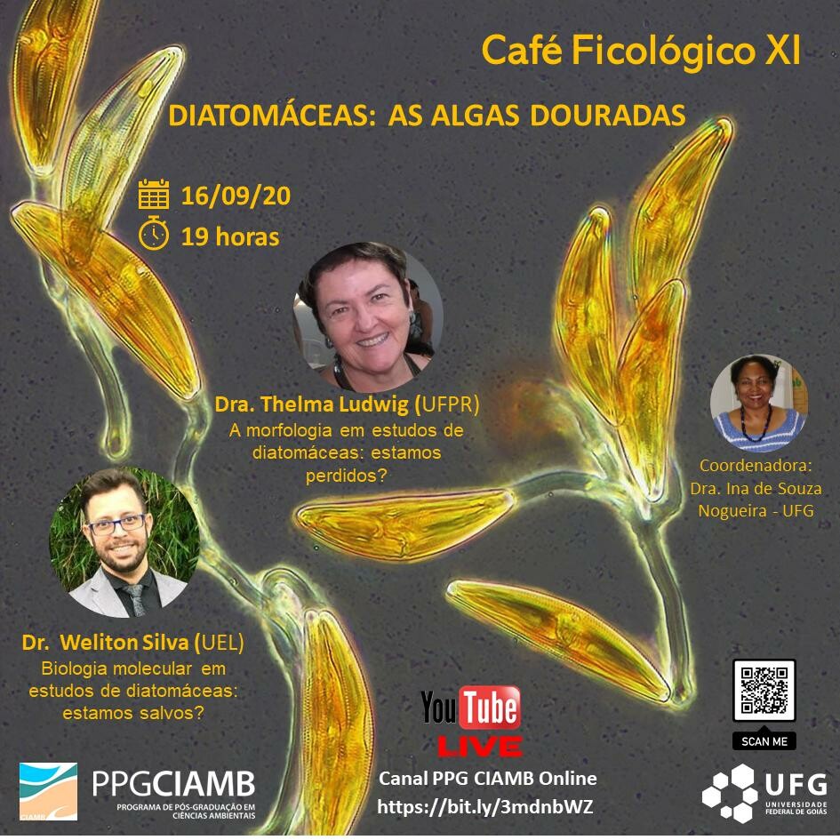 Extensao - Cafe Ficologico 10  - Desmidias