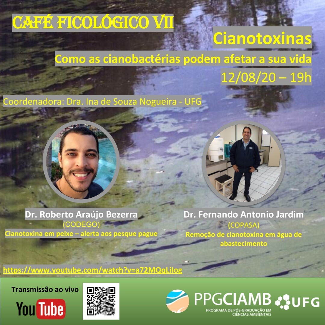 Extensao - Cafe Ficologico  - Cianotoxinas