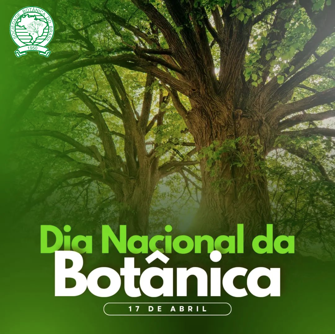 Noticia - Dia Nacional da Botanica - SBB 2024