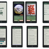 Pesquisa e Inovacao - Aplicativo SeedID - Edson Ferreira Duarte - 2025