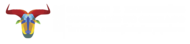 Sinasec UEG
