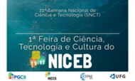 1a Feira NICEB capa
