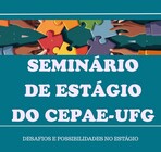 IV SEMINÁRIO DE ESTÁGIO DO CEPAE (capa)