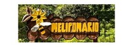 meliponario3.jpg