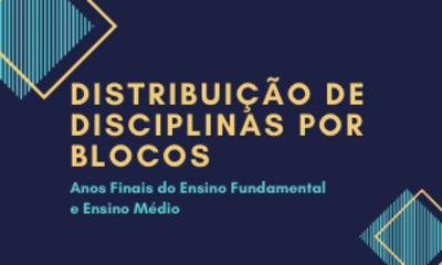 DISTRIBUIÇÃO DE DISCIPLINAS POR BLOCOS DOS ANOS FINAIS E ENSINO MÉDIO