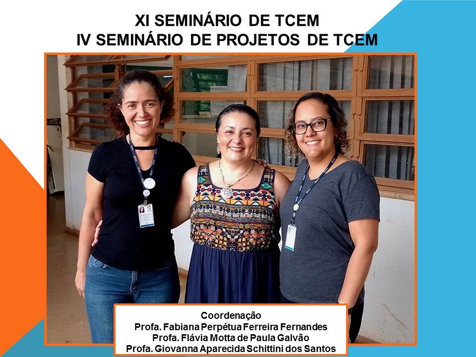 XI Seminário de TCEM-FOTOS-1
