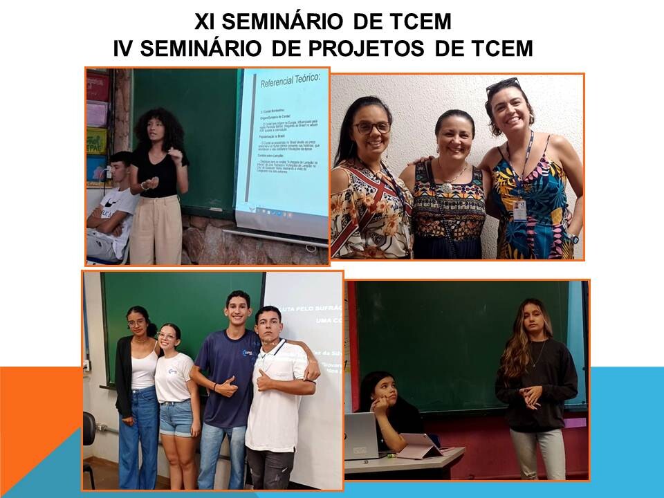 XI Seminário de TCEM-FOTOS-3