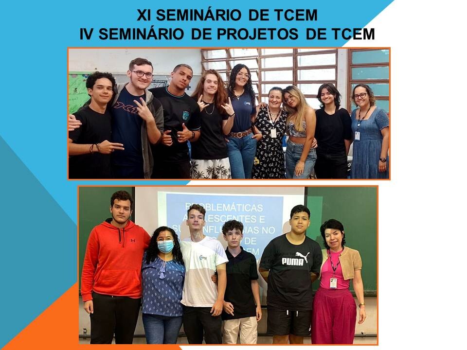 XI Seminário de TCEM-FOTOS-4